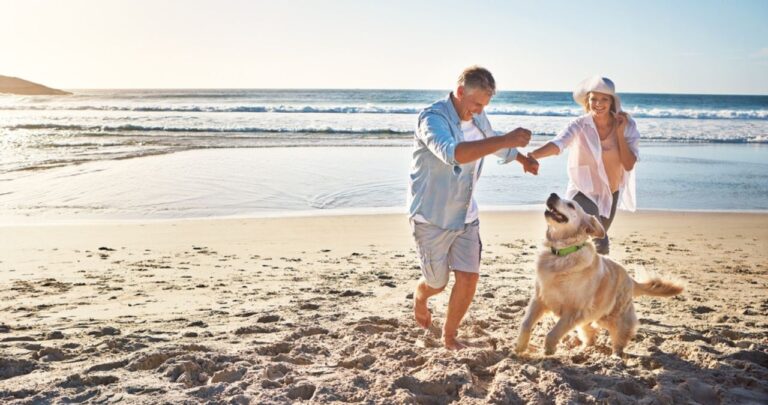 Naples' Dog-Friendly Beaches